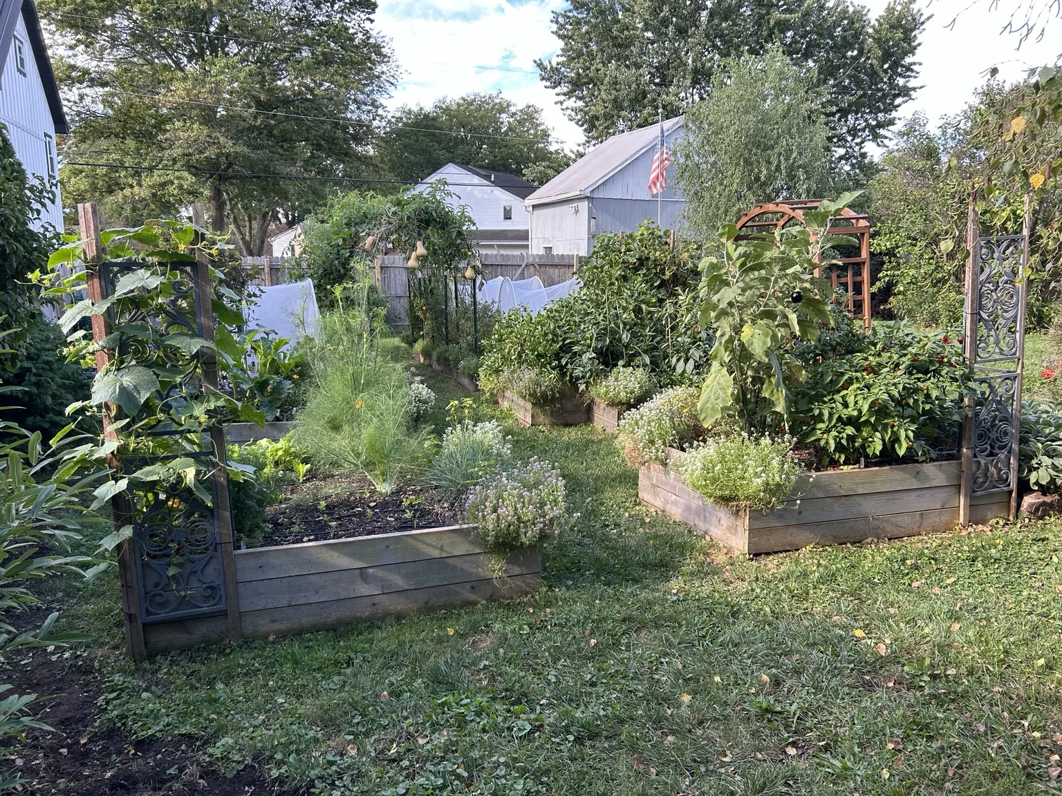 Vegetable garden with protective row cover