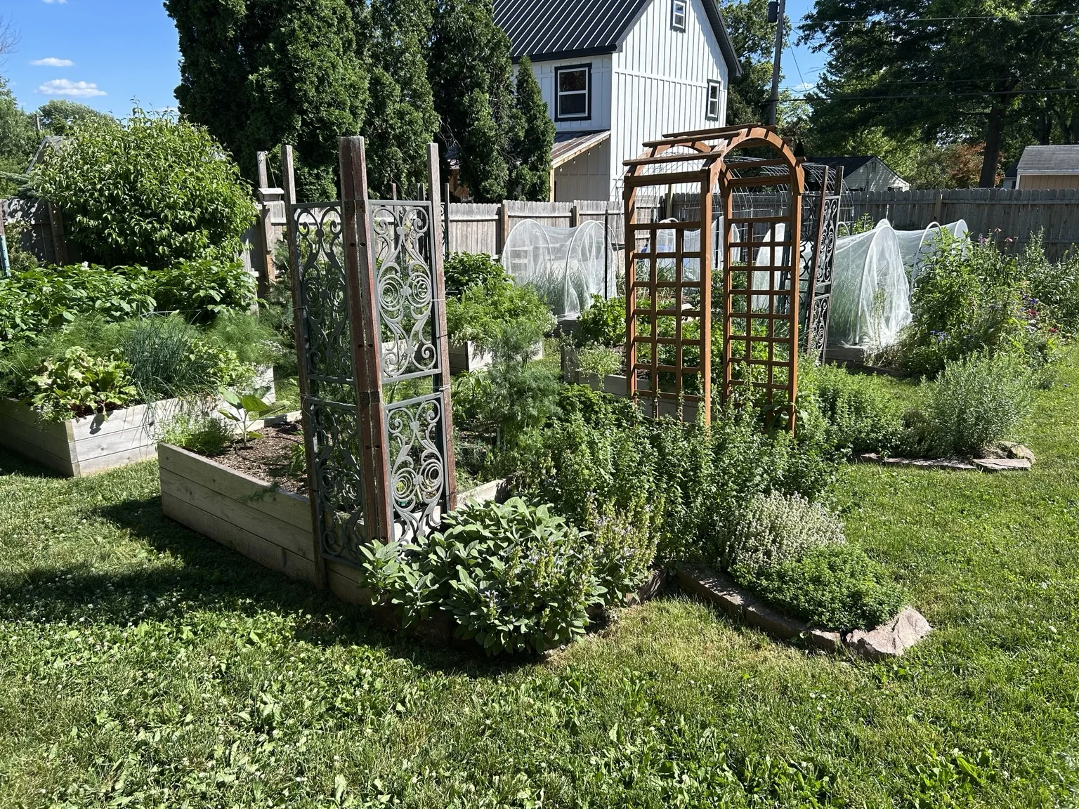 L-shaped raised garden bed with mixed vegetables and herbs