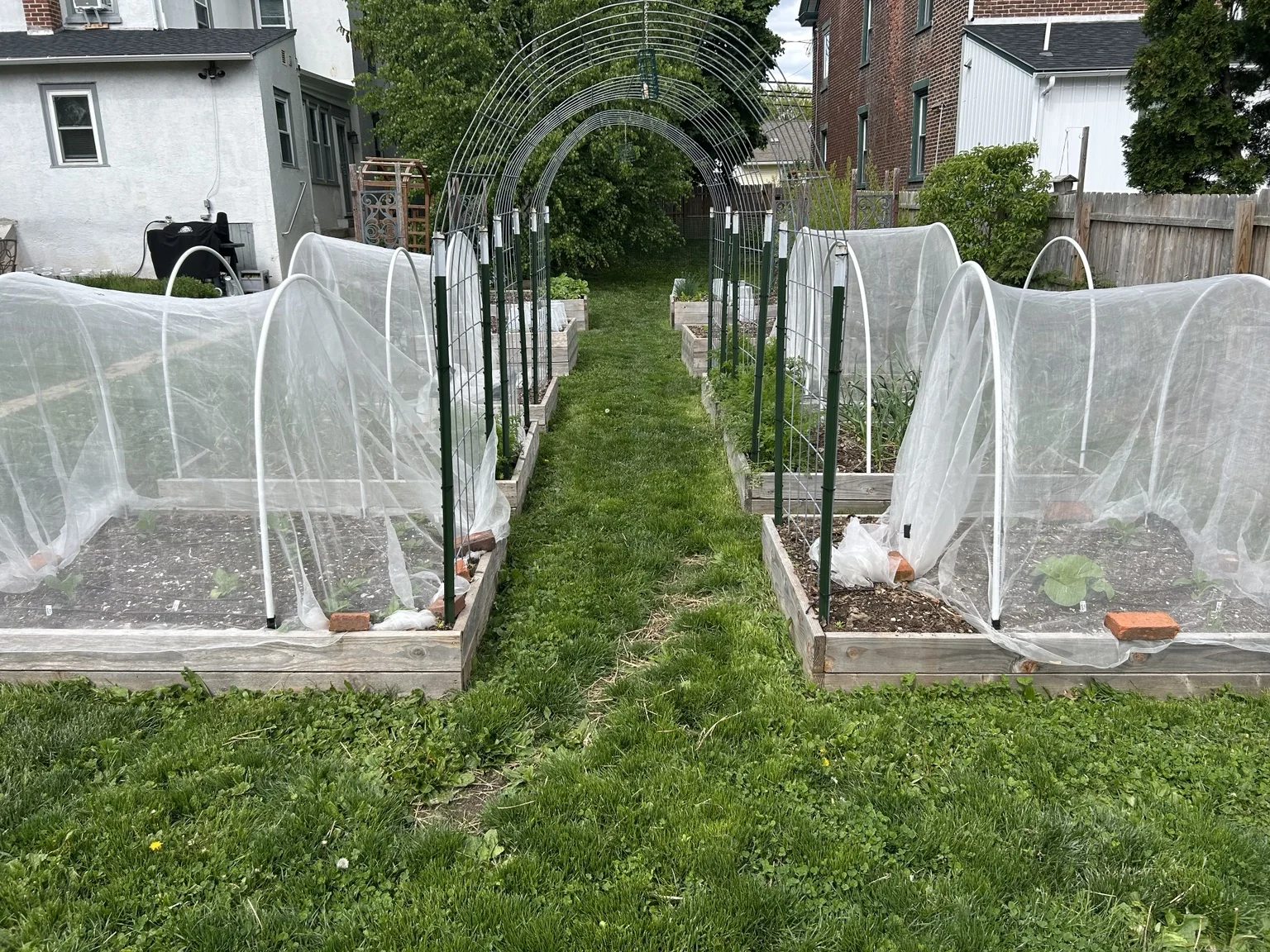 Home food garden